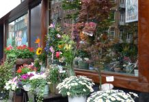 Negentig jaar bloemsierkunst aan de Witte de Withstraat