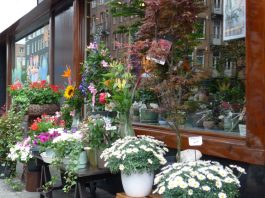 Negentig jaar bloemsierkunst aan de Witte de Withstraat
