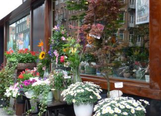 Negentig jaar bloemsierkunst aan de Witte de Withstraat