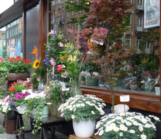Negentig jaar bloemsierkunst aan de Witte de Withstraat