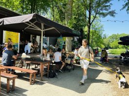 Terrasmus viert 15de verjaardag met gratis festival