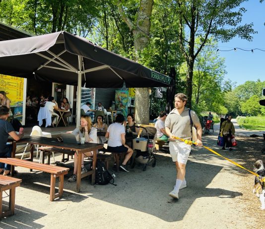 Terrasmus viert 15de verjaardag met gratis festival