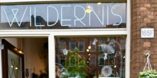 In Pinksterweekend biologische plantenmarkt op Bilderdijkstraat