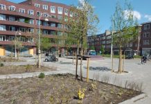 Bomen maken Witte de Withplein aantrekkelijker