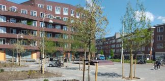 Bomen maken Witte de Withplein aantrekkelijker