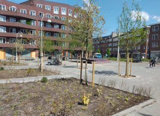 Bomen maken Witte de Withplein aantrekkelijker