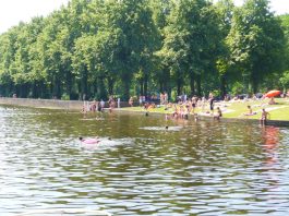 Verlaten straten en volle sloten, zo ziet de hitte eruit in West