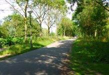 Voetpad langs De Tuinen van Westerpark krijgt broodnodige opknapbeurt