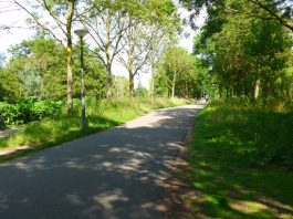 Voetpad langs De Tuinen van Westerpark krijgt broodnodige opknapbeurt