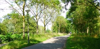 Voetpad langs De Tuinen van Westerpark krijgt broodnodige opknapbeurt