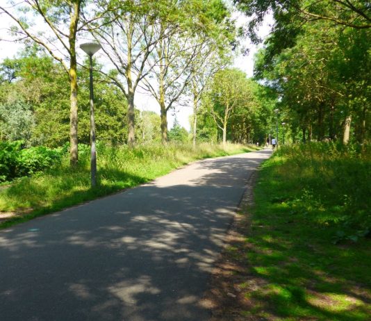 Voetpad langs De Tuinen van Westerpark krijgt broodnodige opknapbeurt