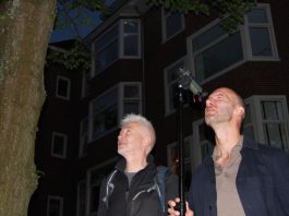Ecologen zoeken in West naar ‘opportunistische maar nuttige’ buurtgenoot