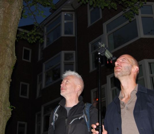 Ecologen zoeken in West naar ‘opportunistische maar nuttige’ buurtgenoot