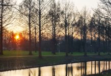 59-jarige man neergeschoten in park in Slotermeer, dader vlucht op step