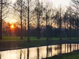 59-jarige man neergeschoten in park in Slotermeer, dader vlucht op step