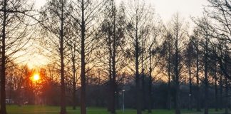 59-jarige man neergeschoten in park in Slotermeer, dader vlucht op step