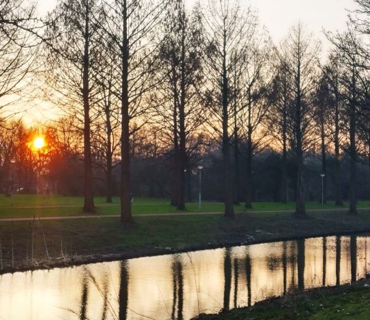 59-jarige man neergeschoten in park in Slotermeer, dader vlucht op step