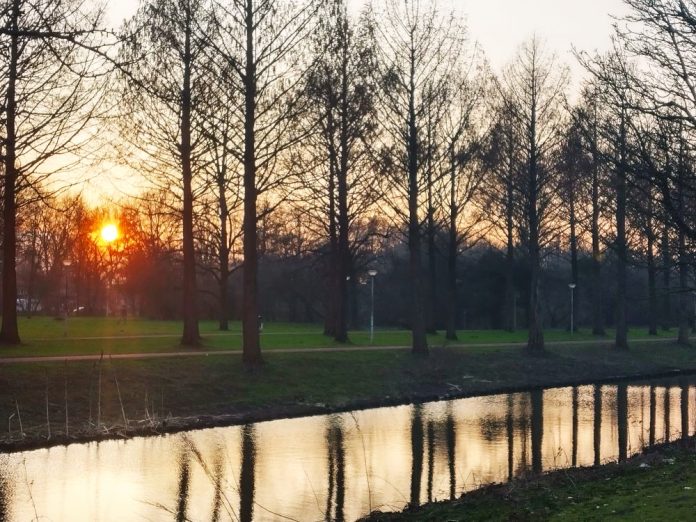 Gerbrandypark