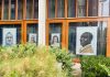 Psychiatrische kliniek in Oud-West behangen met kunst