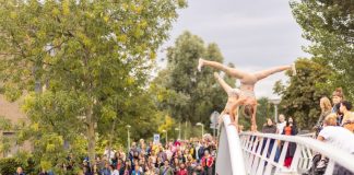 Circusbende kan doorgaan in het Erasmuspark