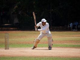 Dikke kans dat Nieuw-West een cricketpark krijgt