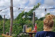 7 vakantietripjes voor een prikkie vanuit Amsterdam-West