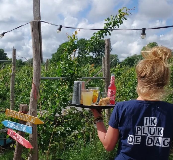 FRUITTUINWEST