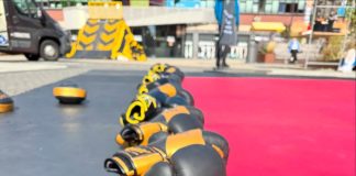 BOLO WEST BEWEEGT! Sportieve dag op het Bos en Lommerplein!